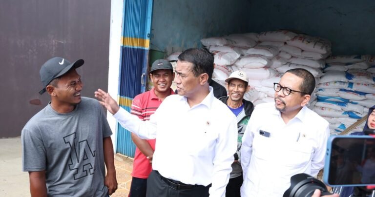 Mentan Amran Bawa Kabar Baik, Harga Pupuk Subsidi Turun